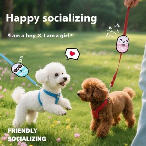 Hand Holding Rope Velcro Pet Warning Sign