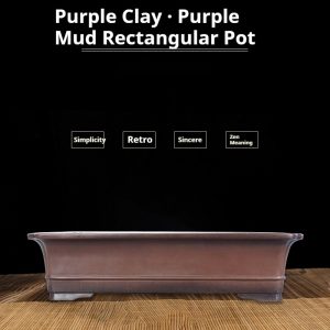 Purple Clay Handmade Rectangular Green Bonsai
