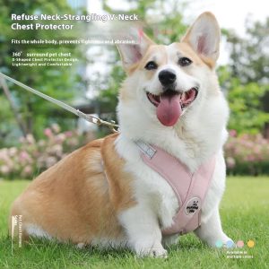 New Pet Vest Hand Holding Rope