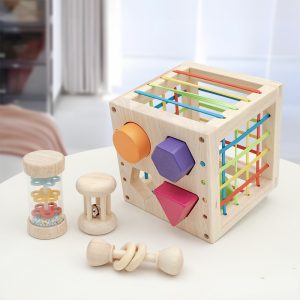 Children's Early Education Wooden Plug-Le Toy