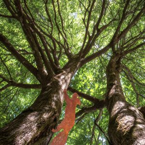 Rusty Wrought Iron Cat Art Outdoor Decor, Rustic Ornaments, Ideal For Patio