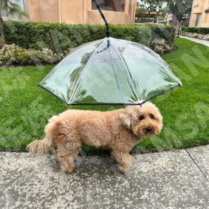 Transparent Pet Umbrella Dog C- Type Adjustable