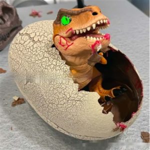Personalized Decorations Hatched In Tyrannosaurus Eggs