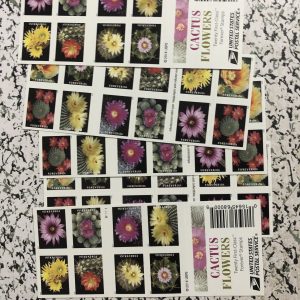 First-Class Rate 2019 U.S. FLAG STAMPS Cactus Flowers 1 0 0pcs FREE SHIPPING