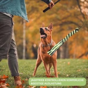 Telescopic Stick Dog Teasing Rod Toy Pet