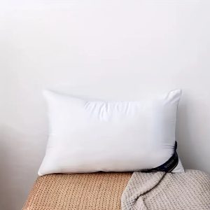 Bed Pillows Blue