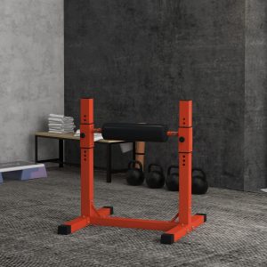 Bulgarian Split Squat Stand