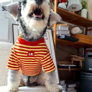 Pet Clothing Warm Cute Striped