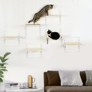 Cat Shelves for Indoor Cats