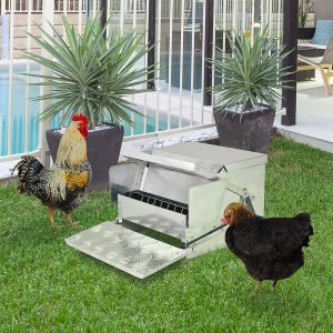 30 lbs Capacity Automatic Chicken Poultry Feeder with a Galvanized and Build