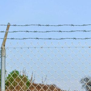 Barbed Wire Green 100 m