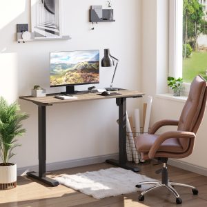 Electric Height Adjustable Standing Desk with 54" Desktop