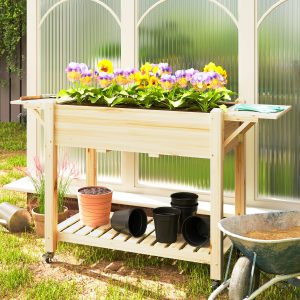 Raised Planter Box