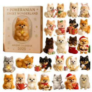 Cat Lovers Advent Calendar Blind Box