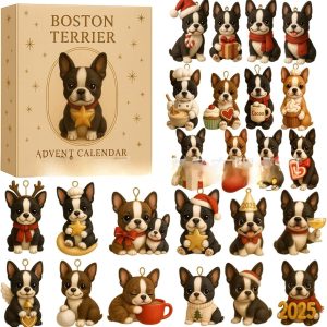 Christmas Countdown Calendar Acrylic Hanging Ornament Blind Box