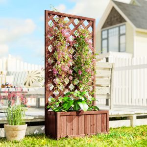 Raised Garden Bed with Trellis