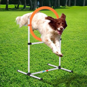 Dog Agility Training Jump Ring Hurdle Bar