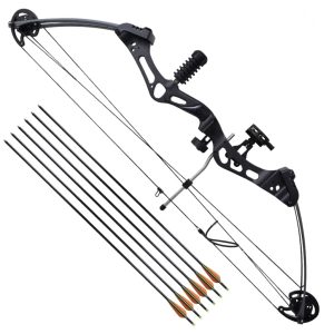 Compound bow with accessories and fiberglass arrows for adults
