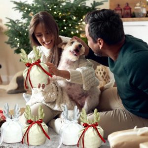 5 Pcs Christmas Gift Pouch Christmas Velvet Drawstring Bag Christmas Treat Bags With Drawstring Christmas Drawstring Wrapping Bags For Jewelry Xmas Party Supplies