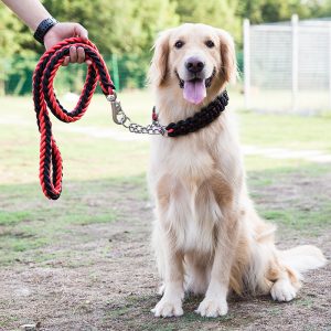 Dog Collars And Belt Covers, Heavy-duty Nylon Braided Ropes, For Training And Walking Leashes Of Small, Medium And Large Dogs