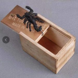 Trick Toy Wooden Box Scared Spoof Bugs Box Spider Box Scary Scary Small Wooden Box