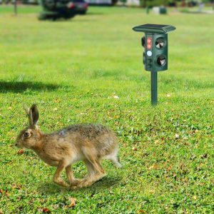 Temu & TK Self-pickup Order, 5-mode Animal Repellent - Solar-powered, USB Charging, Infrared Sensor, Coverage Area 3229 Sq Ft, IP54 Waterproof Rating, Repels Rodents, Birds, Snakes, And Raccoons.