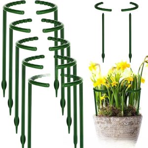 Crab Claw Orchid Special Support Succulent Joint Flower Protection Frame