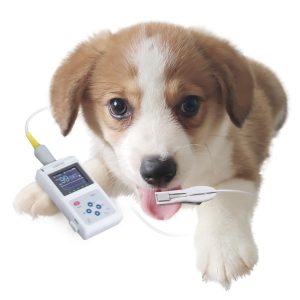 Contec Veterinary Color Display CMS60D-VET Pulse Oximeter Spo2 Probe PR Monitor