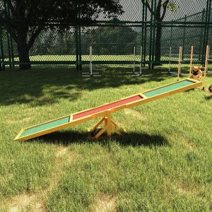 Dog Agility Seesaw for Training and Exercise