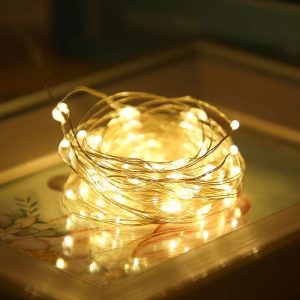 LED Light String Copper Wire Button Christmas Decoration Popular Copper Wire Lighting