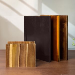 Solid Wood Book-shaped Decorative Kitchen Plate