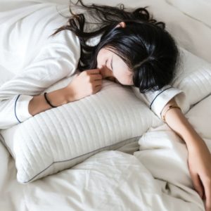 Washable Antibacterial Feather Velvet Three-dimensional Pillow