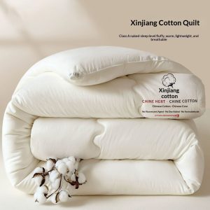 Thickened Warm Duvet Insert For Dorms Single-person Cotton Quilt
