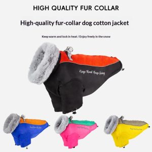 Thickened Two-legged Windproof Dog Coat Warm For Large Dogs