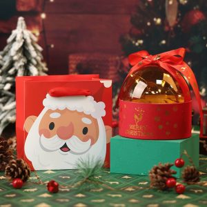 Christmas Holiday Gift Box Candy Cookies Peace Fruit