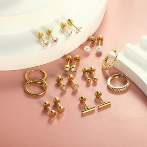 Stainless Steel Round Zircon Earring Set