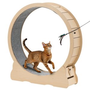 Cat Exercise Wheel, 48 In Wooden Cat Running Wheel For Indoor Cats Up To 28 Lbs, Cats Treadmill With Carpeted Runway & Locking Mechanism, Quiet Roller Kitten Sport Toys For Pets Fitness & Health