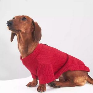 Stretch Base Layer For Dogs And Cats In Autumn And Winter