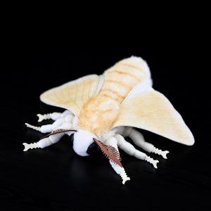 Insect Series Silkworm Moth Plush Toy Doll