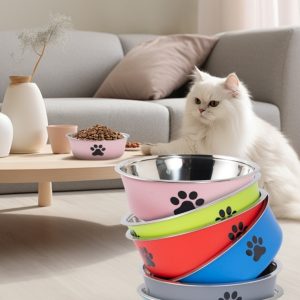 Stainless Steel High-value Anti-spill Pet Double-layer Plastic Bowl