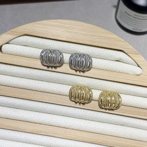 Multi Layer Metal Wire Wrapped Around C-ring Earrings