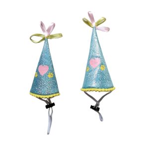 Birthday Cute Ins Style Party Hat