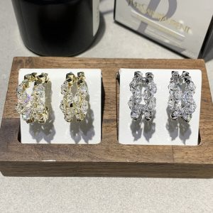 Full-diamond Zircon Elegant Niche Evening-occasion Earrings