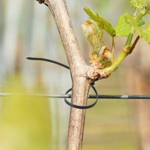 1000 Pack Cable Zip Ties 12-inch Cable Wire Ties & 50LBS High Tensile Strength